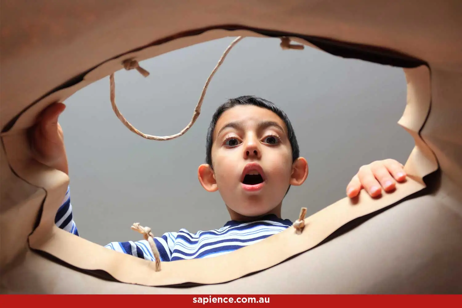 excited young boy looking down into an opened paper bag to see the definition of Atestate